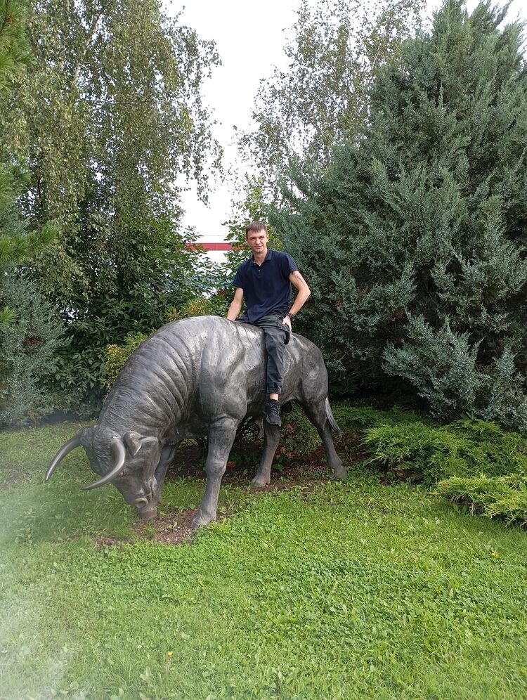 ���� 55517003 ������� ���, 36 ���, ���� ���������� � ��������