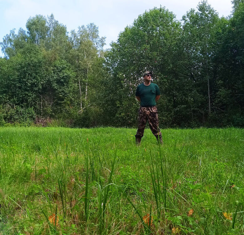 ���������� ��������, ���� ������� ����, 29 ���, ������������ ��� ������, ����� � ���������, c�������� ���������