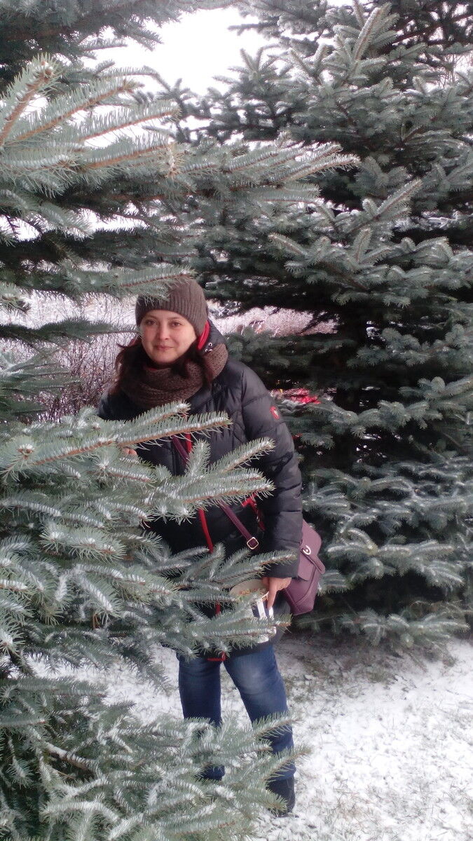 ���������� ������, ���� ������� �����, 51 ���, ������������ ��� ������, ����� � ���������, c�������� ���������