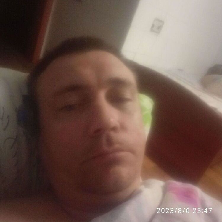  36773203  , 41 ,    