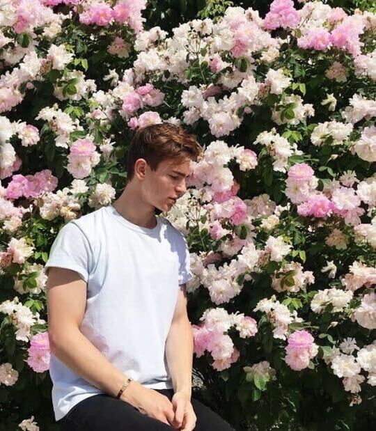 ���������� �����, ���� ����� ������, 24 ����, ������������ ��� ������, ����� � ���������, ���������