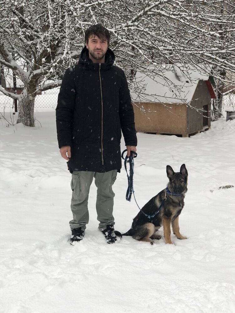 ���������� �����, ���� ������� �����, 35 ���, ������������ ��� ����� � ���������, c�������� ���������