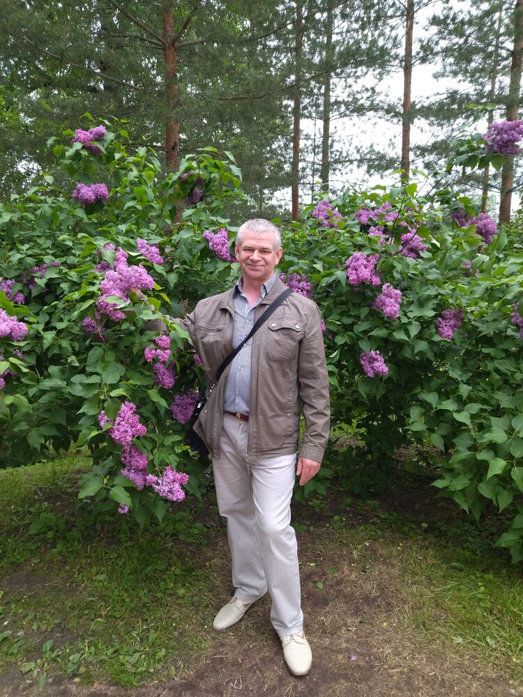  27528553  , 62 ,    -