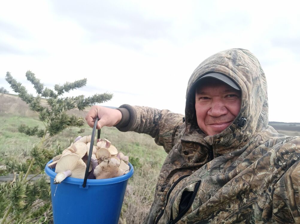 ���������� ����������, ���� ������� ������, 47 ���, ������������ ��� ������, ����� � ���������, ���������