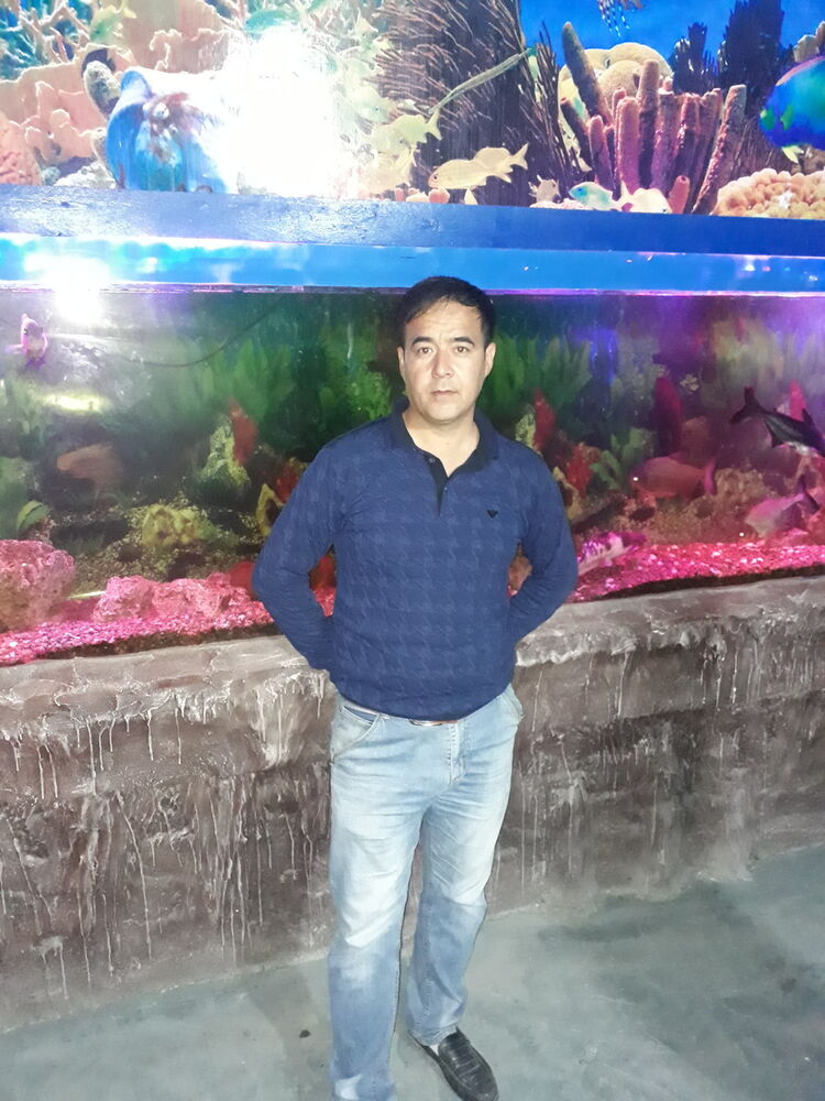 ���� 16181353 ������� Baxti, 36 ���, ���� ���������� � ��������