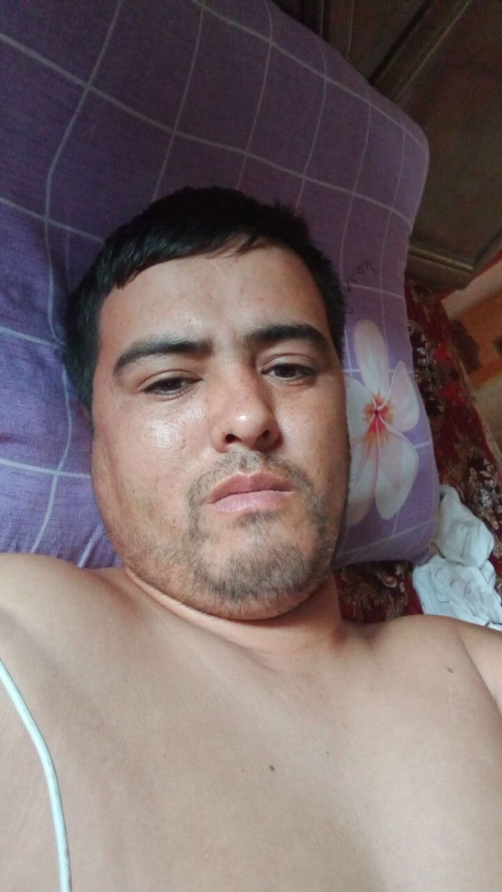 ���� 53349103 ������� ������, 33 ����, ���� ���������� � �������