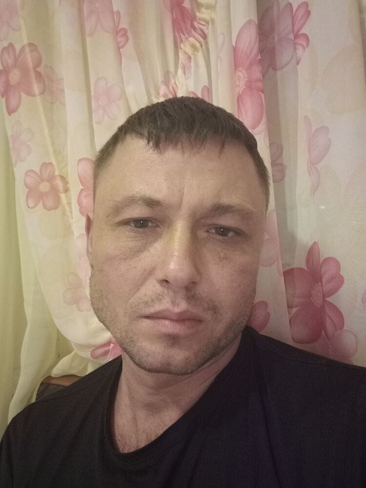  33388953  , 41 ,    