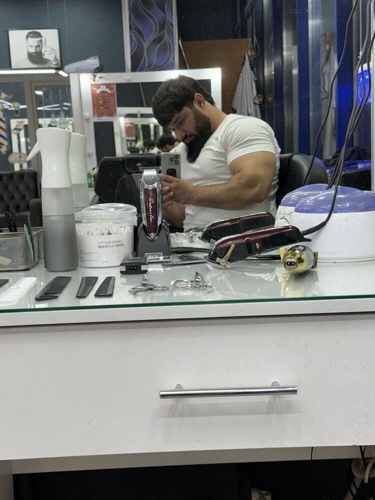  47255873  , 31 ,    