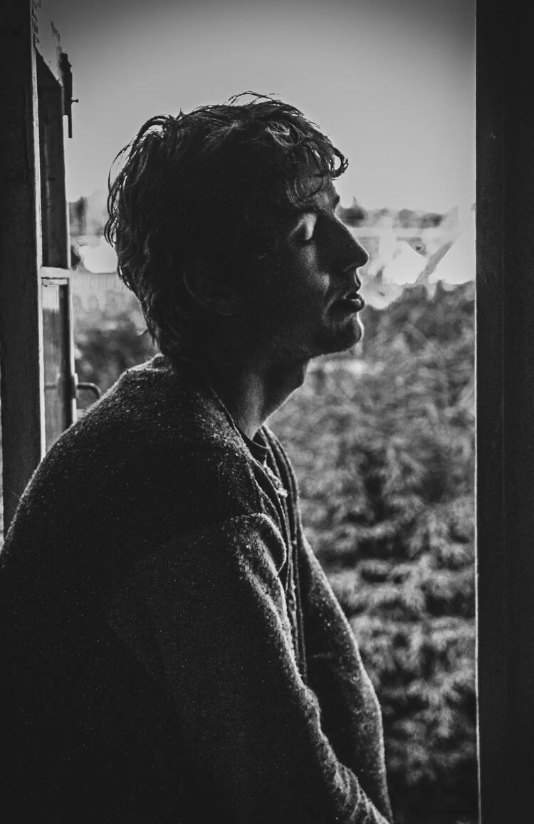  44631813  , 25 ,    -