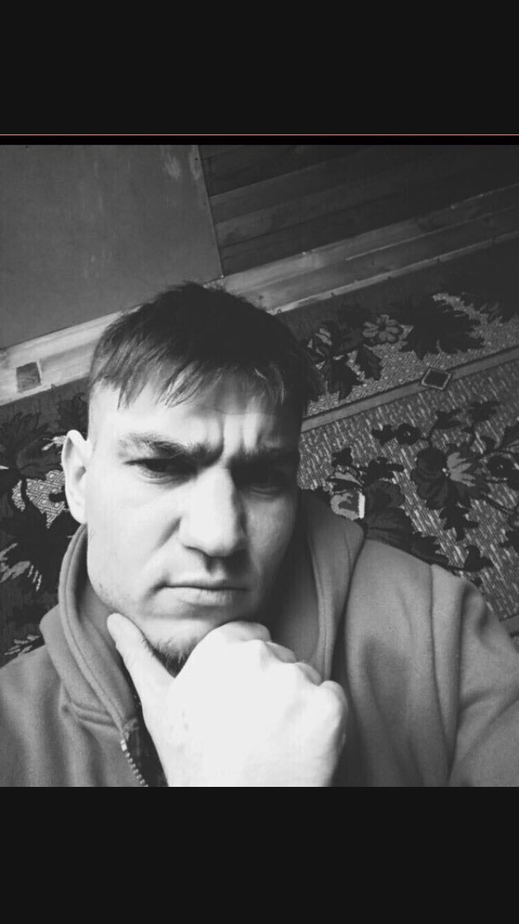  33594593  , 31 ,    