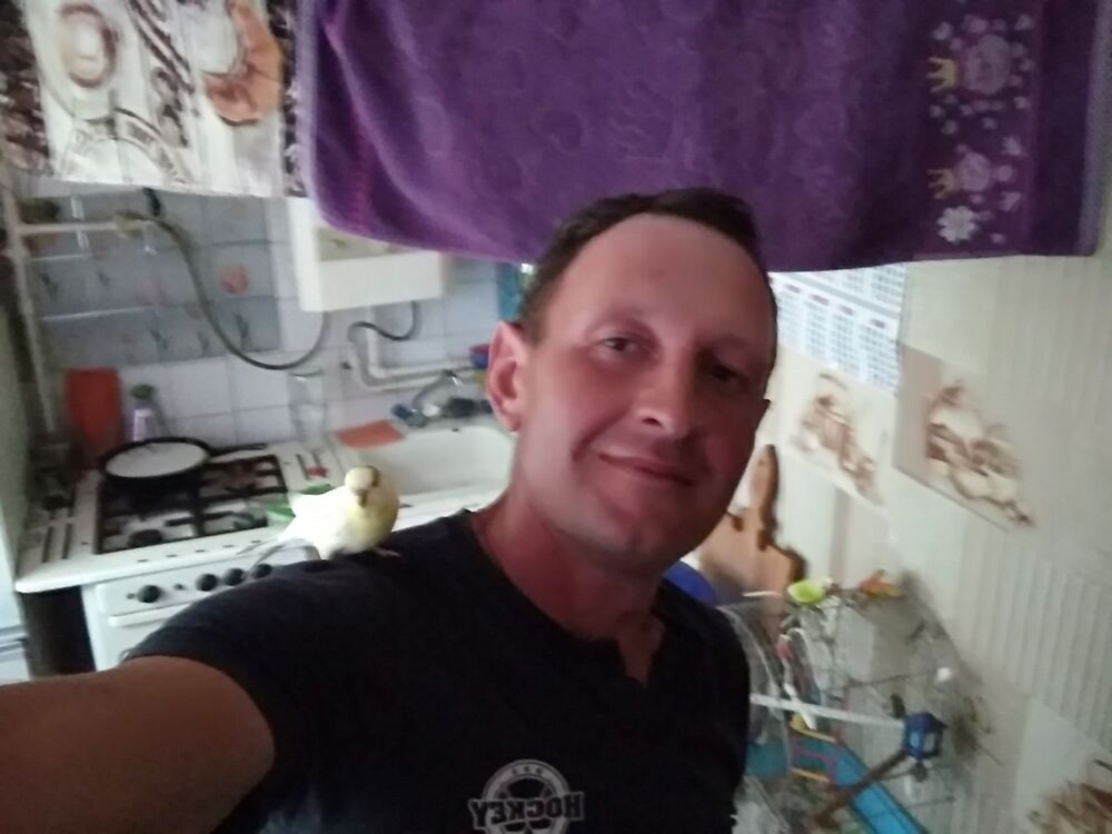  16050843  , 48 ,    