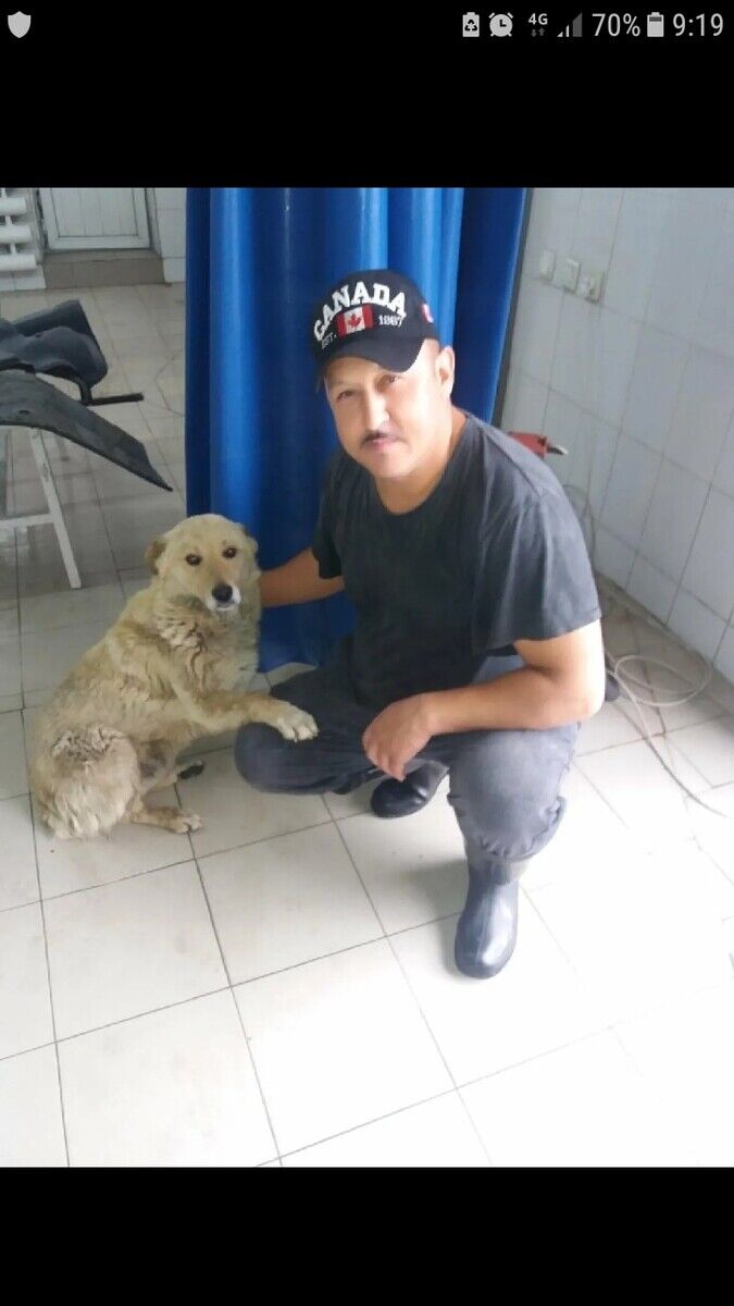  20778083  , 52 ,    