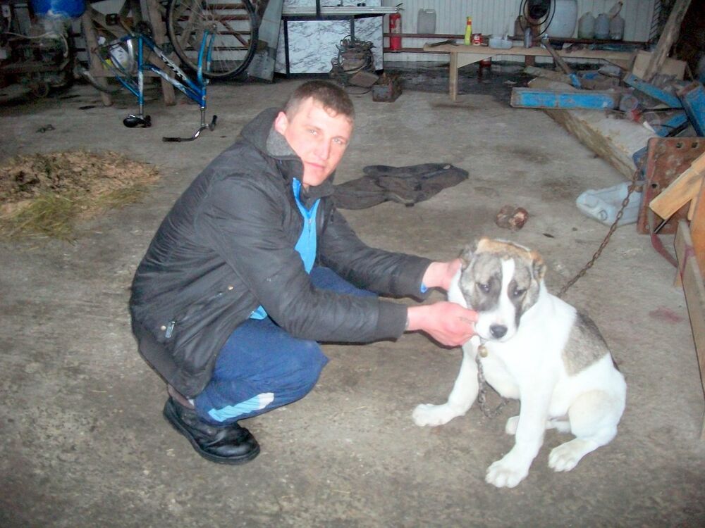 ���������� ����������, ���� ������� ������, 43 ����, ������������ ��� ������, ����� � ���������, c�������� ���������