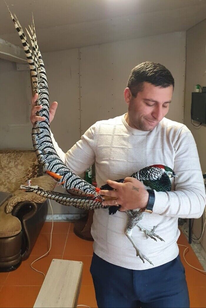 ���������� ����-���������, ���� ������� �����, 39 ���, ������������ ��� ������, ����� � ���������, c�������� ���������