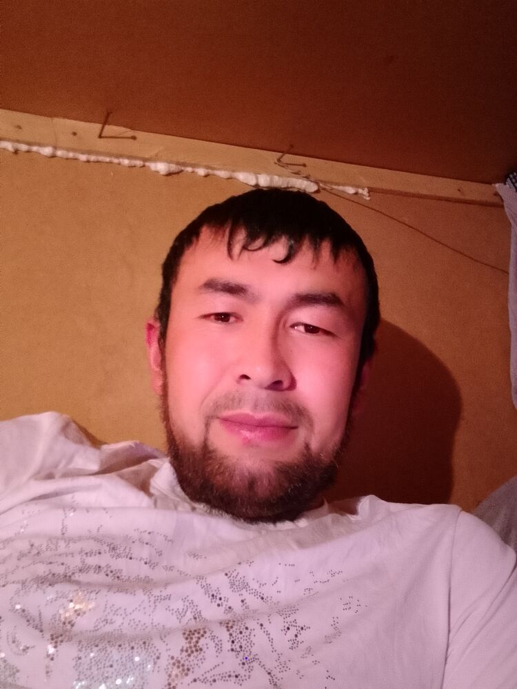  41482303  , 34 ,    -