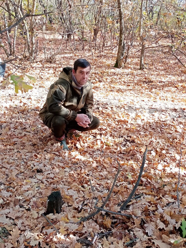 ���� 25748753 ������� ����, 48 ���, ���� ���������� � ����������