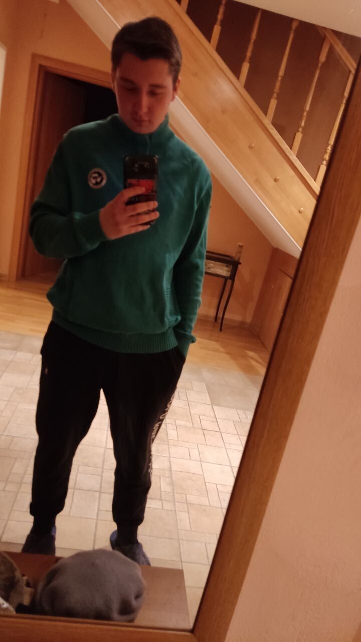  33231073  , 26 ,    
