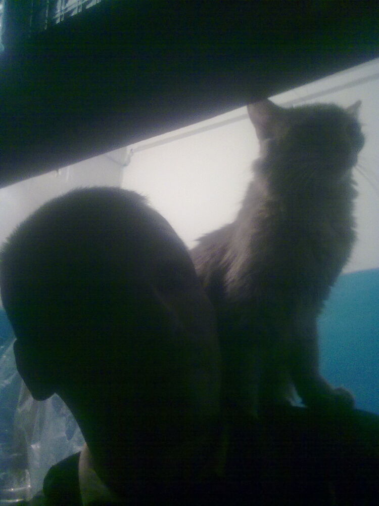  ,   , 39 ,   ,   , c 