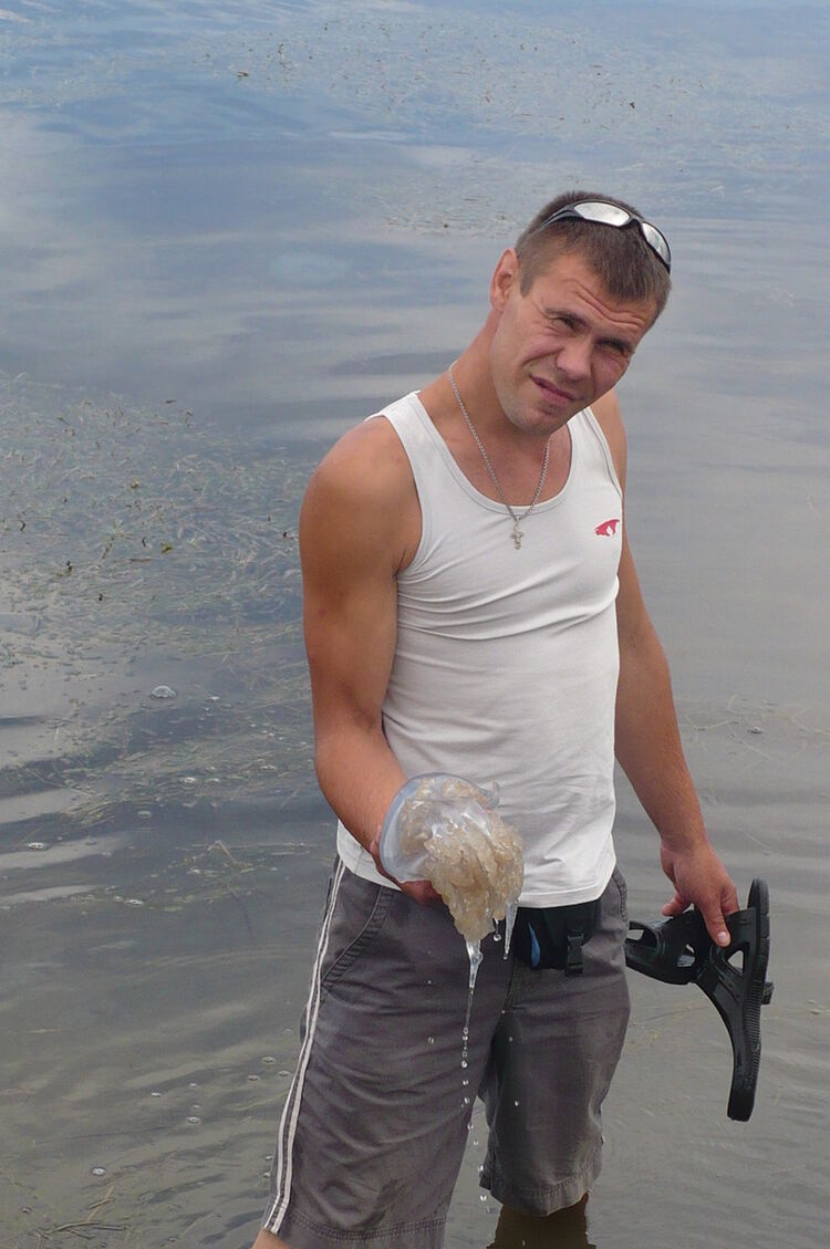 ���������� ��������, ���� ������� ������, 44 ����, ������������ ��� ������, ����� � ���������, c�������� ���������