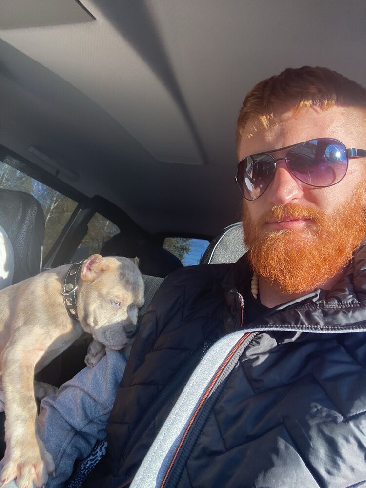 ���� 39075633 ������� �������, 36 ���, ���� ���������� � ��������