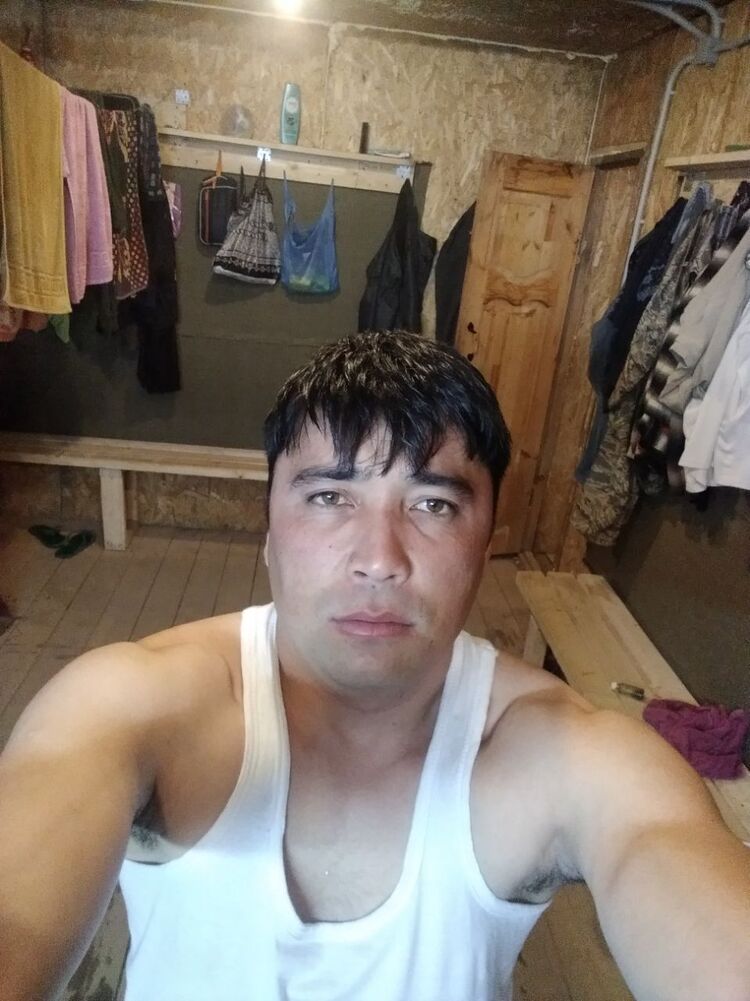  24528443  A, 33 ,    
