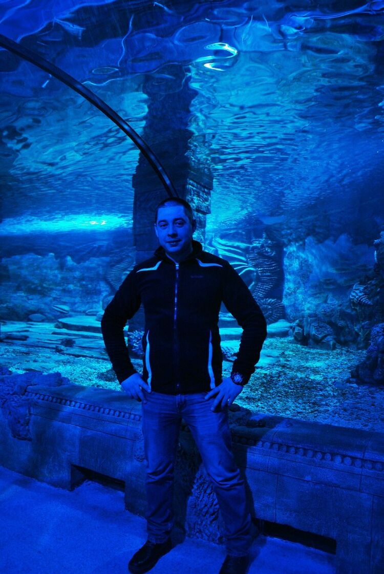 ���� 18390513 ������� ����� ������, 36 ���, ���� ���������� � �������