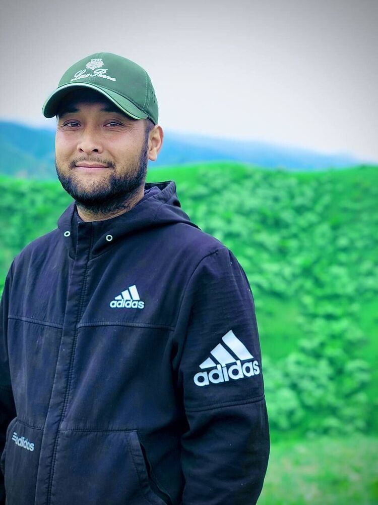 ���� 56243853 ������� ����������, 37 ���, ���� ���������� � �������