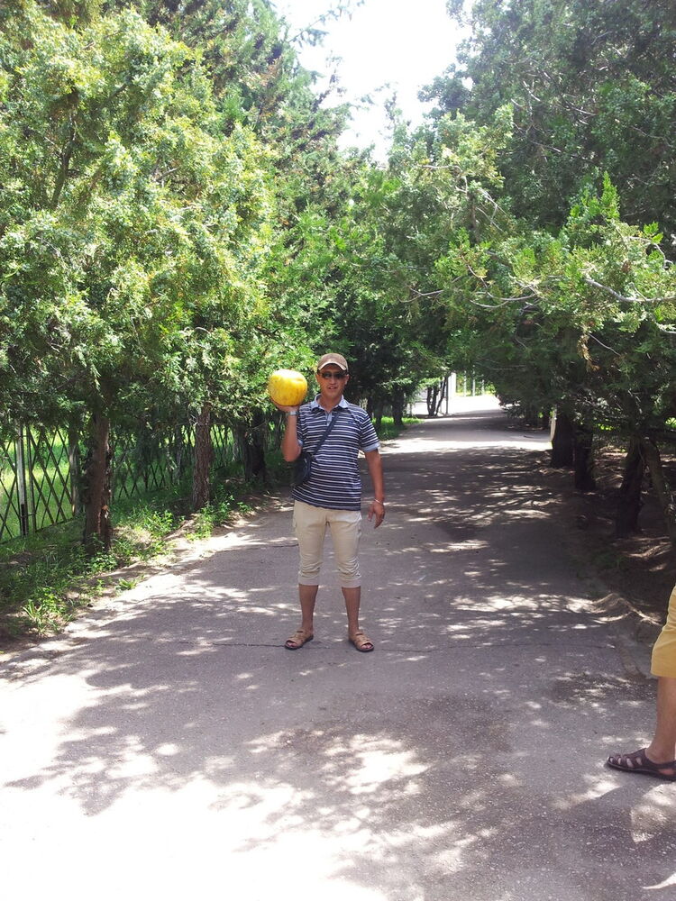  -,   Shurik, 51 ,   ,   , c 