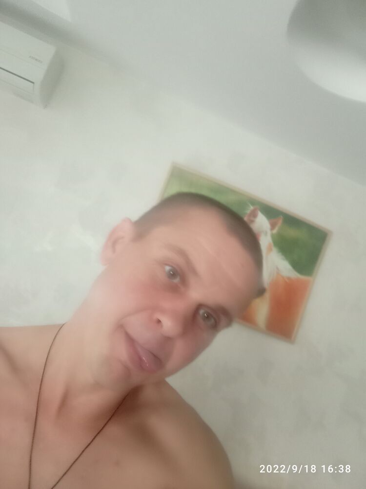  31182763  , 45 ,    