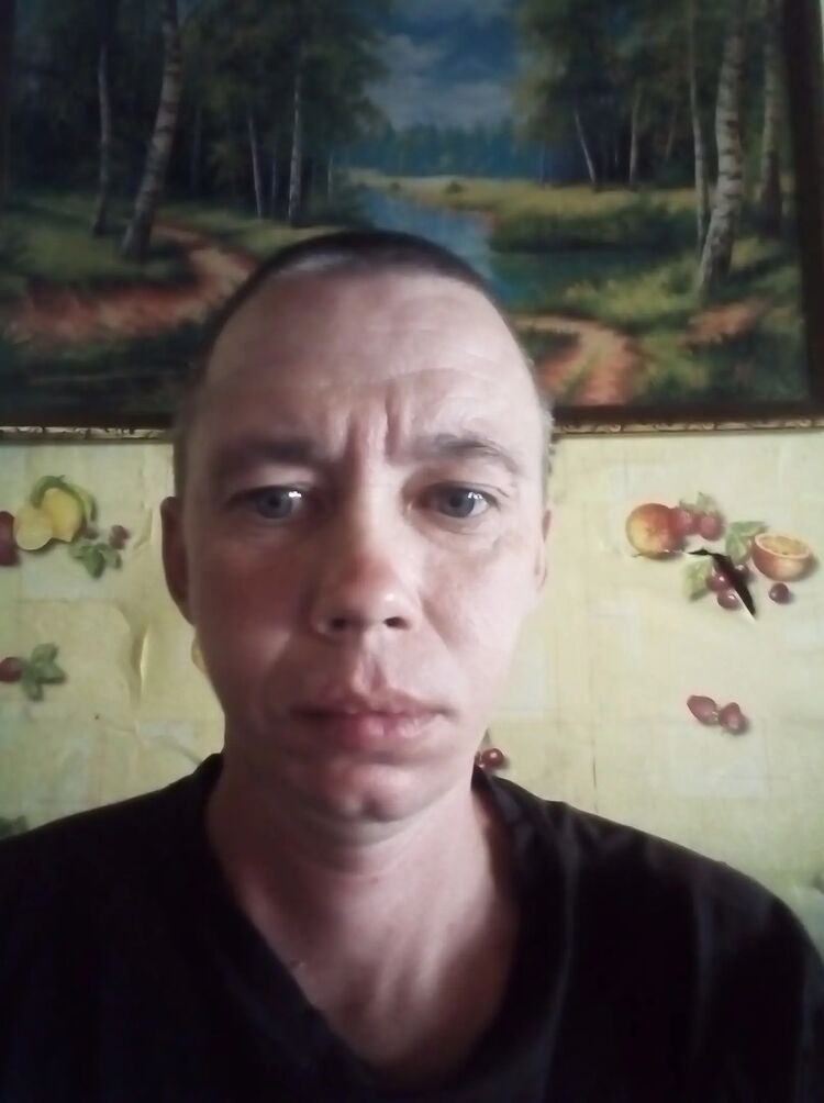  50493273  , 41 ,    