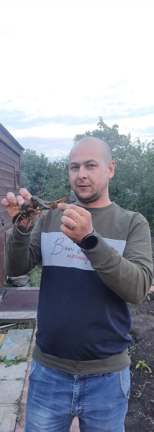 ���� 38605243 ������� ������, 35 ���, ���� ���������� � ����������