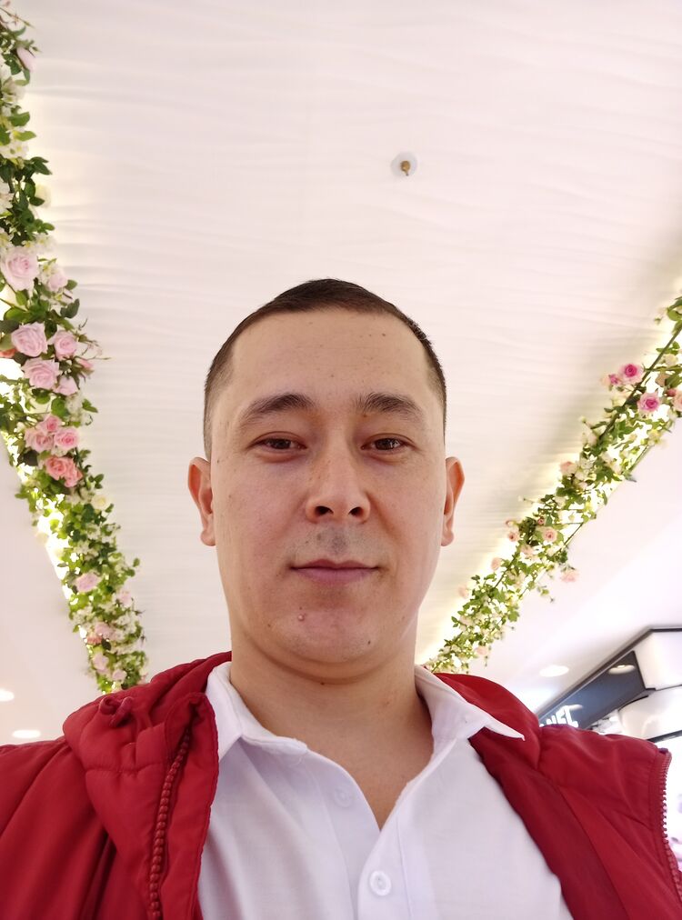  28913183  , 29 ,    -