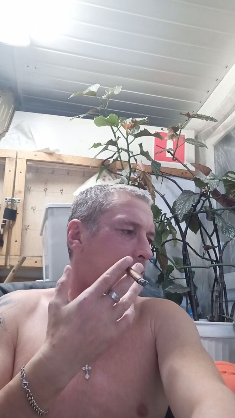 ���� 38893423 ������� ������, 46 ���, ���� ���������� � ������