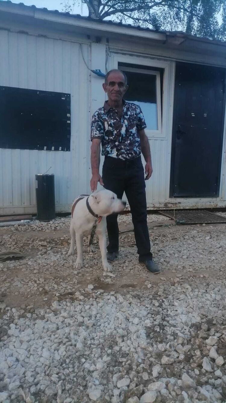 ���� 41618793 ������� Abas, 46 ���, ���� ���������� � ������