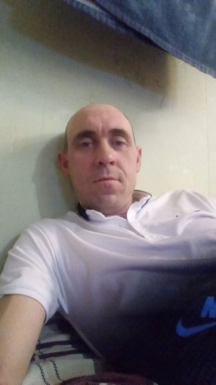  29268143  , 40 ,    