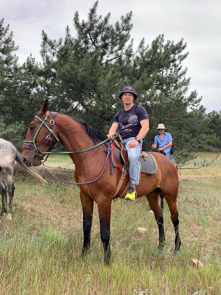 ���� 22640143 ������� ���������, 40 ���, ���� ���������� � ������