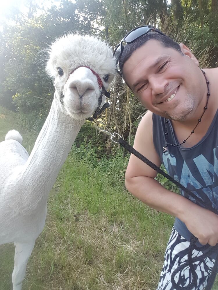 ���������� �������, ���� ������� �����, 39 ���, ������������ ��� ������, ����� � ���������, c�������� ���������