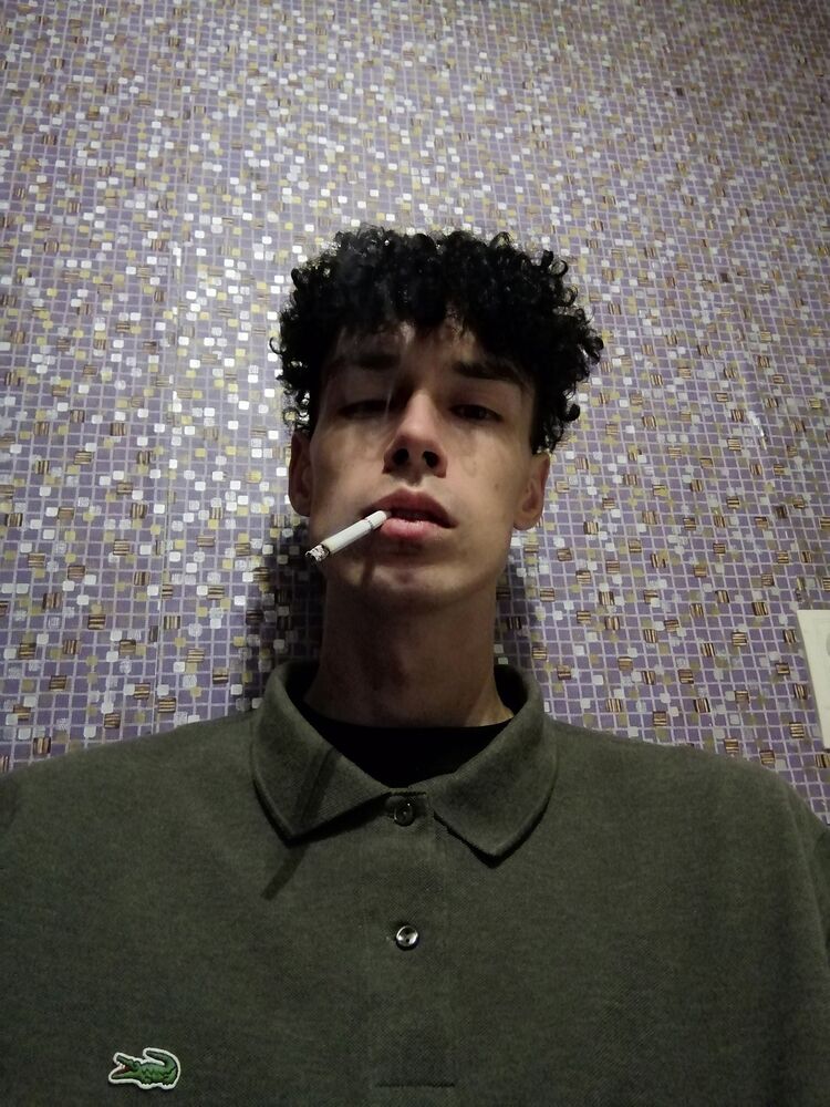  52672953  Bydefexp, 24 ,    