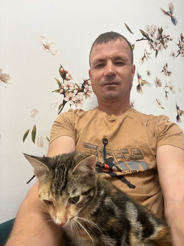 ���� 53933383 ������� ����, 38 ���, ���� ���������� � ��������