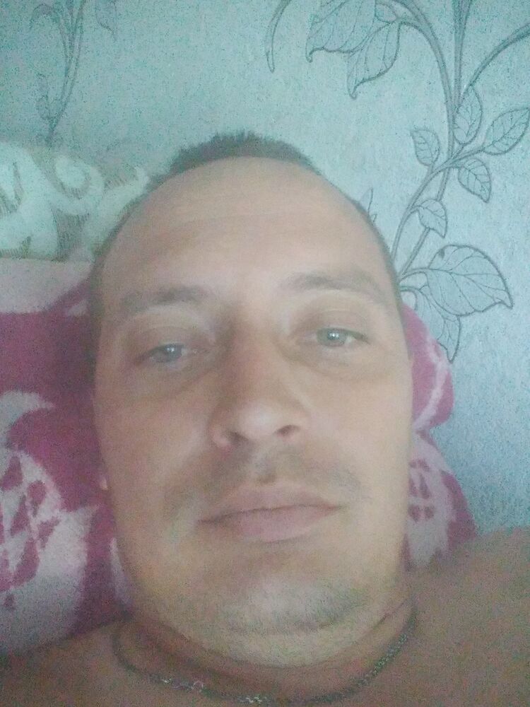  28272703  , 33 ,    