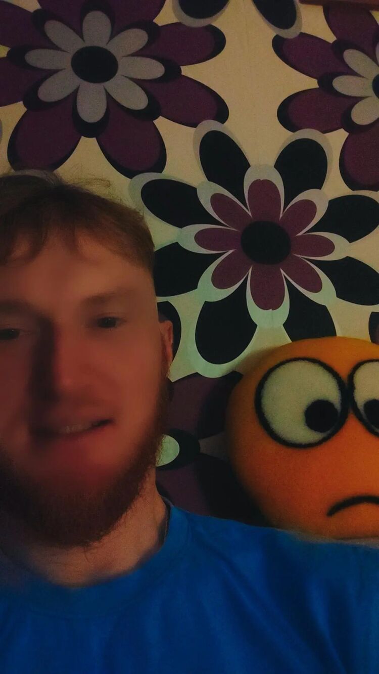  54315303  Pavel, 33 ,    