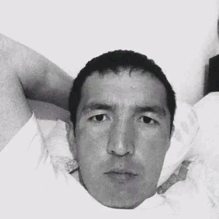 ���� 56266023 ������� ������, 44 ����, ���� ���������� � �����������