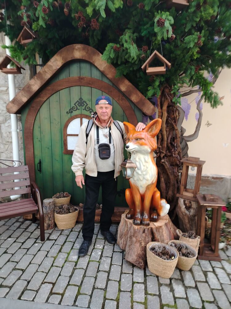 ���������� ������, ���� ������� �������, 66 ���, ������������ ��� c�������� ���������