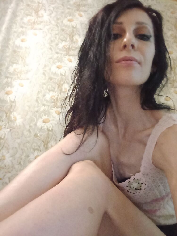  23214613  , 38 ,    