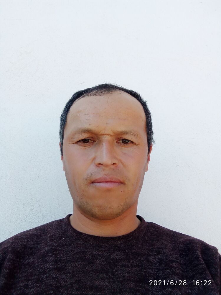 ���� 23323673 ������� �����, 40 ���, ���� ���������� � ���������