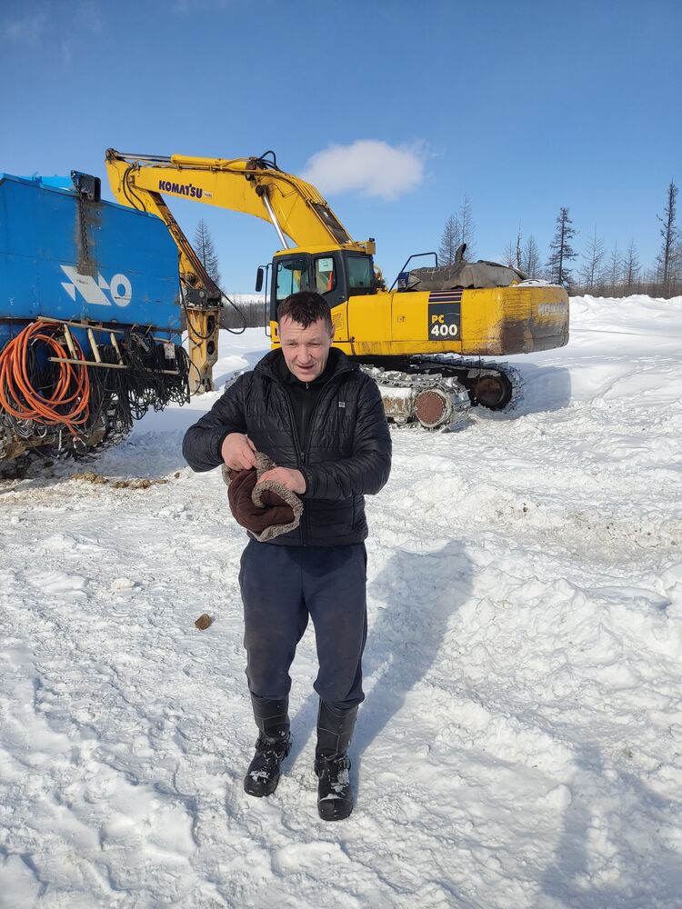 ���� 55854223 ������� ����, 49 ���, ���� ���������� � �������