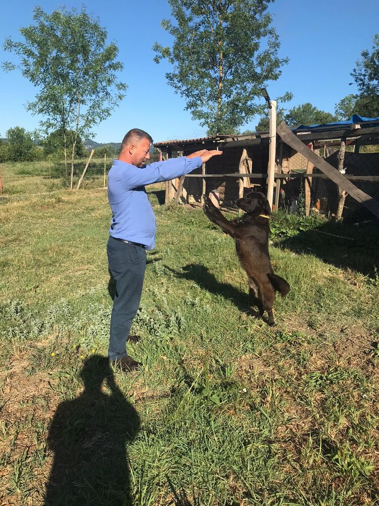  ,   Daryus, 45 ,   ,   