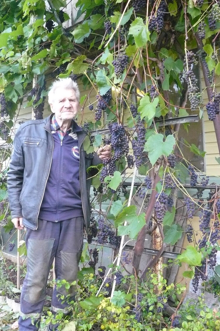 ���������� ���������, ���� ������� ������, 88 ���, ������������ ��� ����� � ���������, c�������� ���������