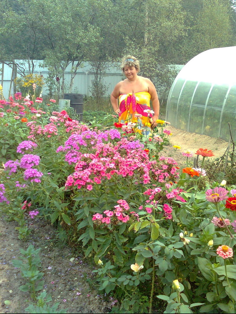 ���� 5623413 ������� Nata3773, 56 ���, ���� ���������� � ������