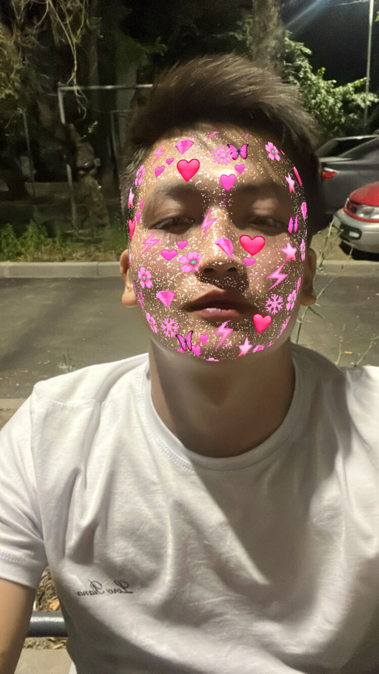  29082653  , 22 ,    